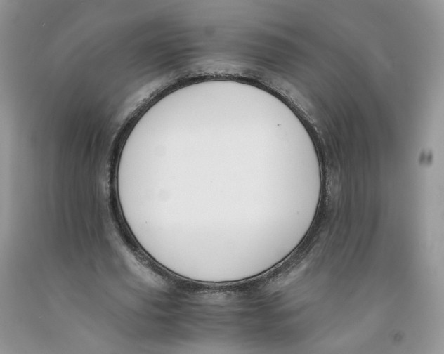 X0000091300629200709071053