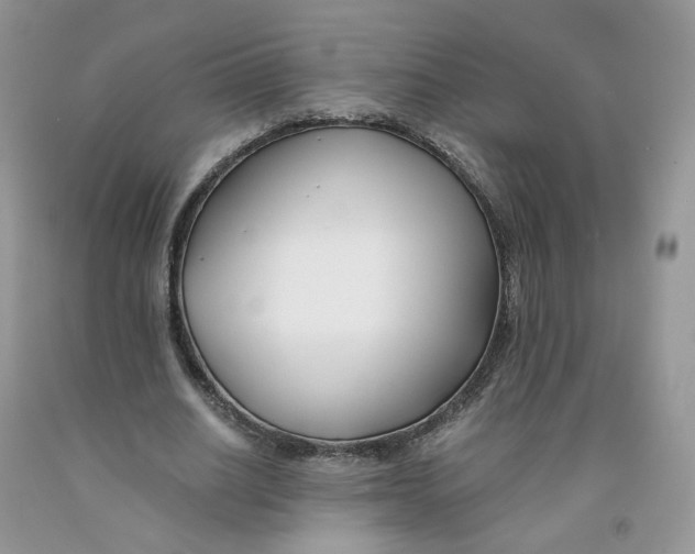 X0000091300630200709071053