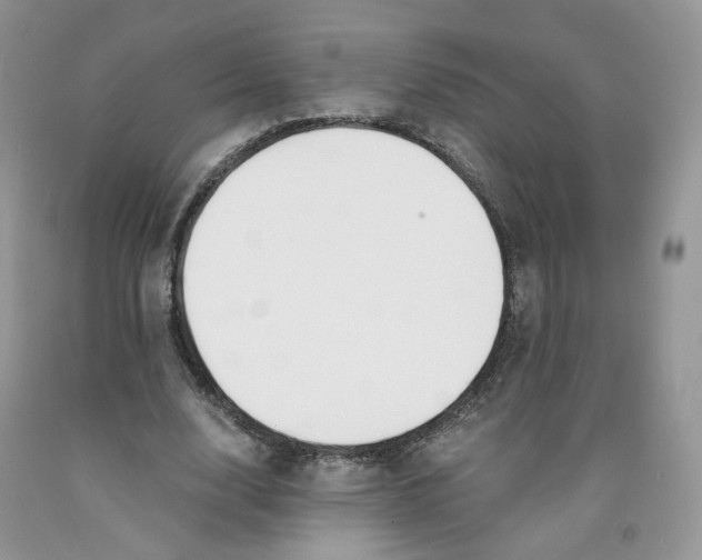 X0000091300632200709071053