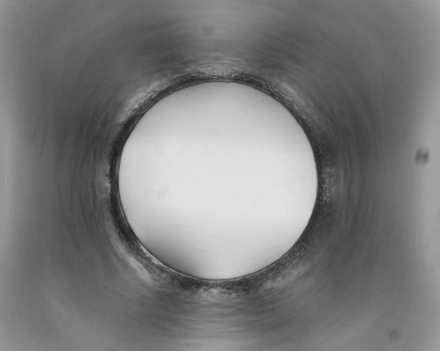 X0000091300634200709071054