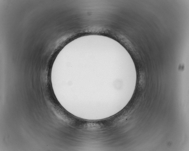 X0000091300636200709071054