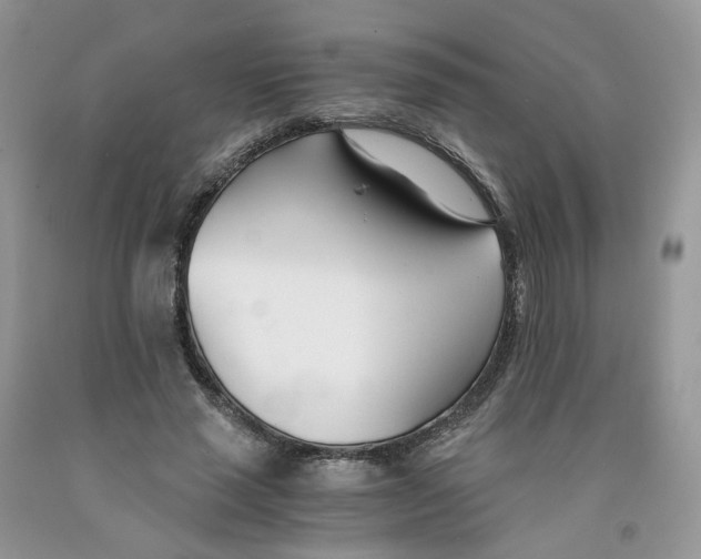 X0000091300637200709071054