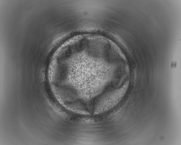 X0000091300640200709071054