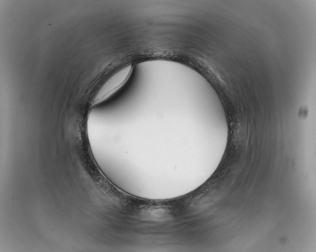 X0000091300643200709071054