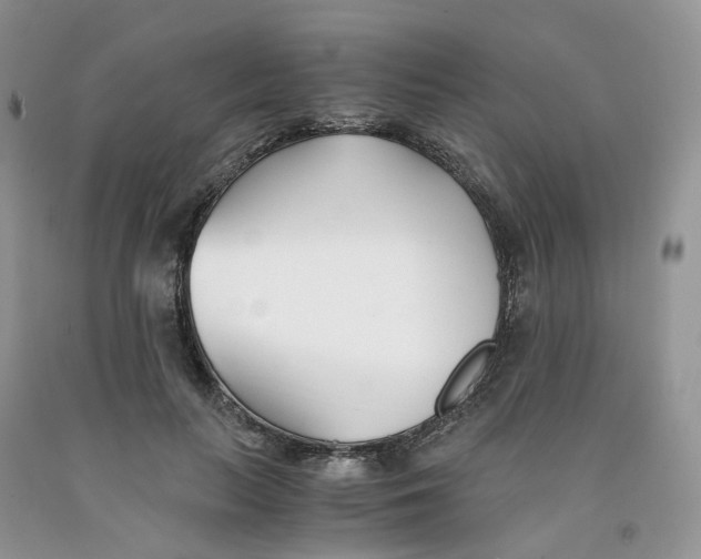 X0000091300647200709071054