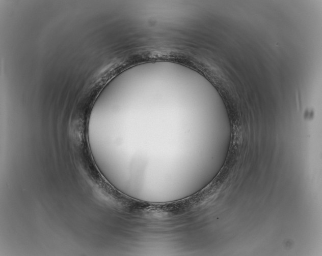 X0000091300648200709071054