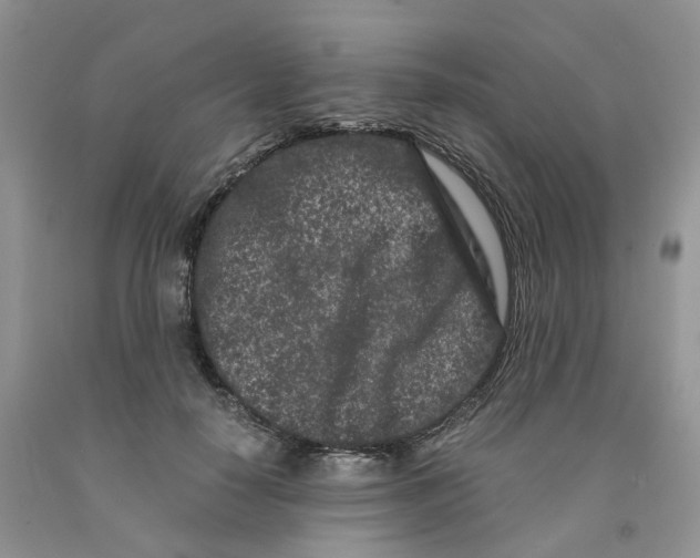 X0000091300650200709071054