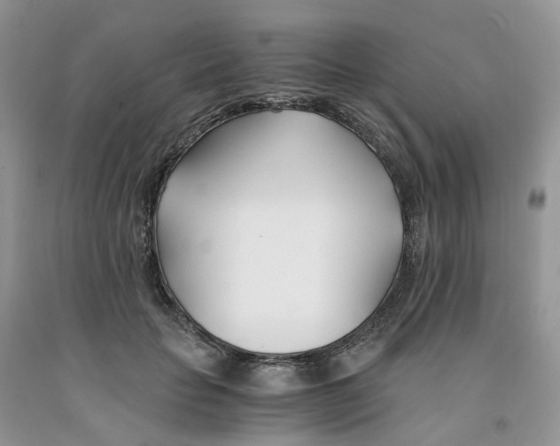 X0000091300653200709071054