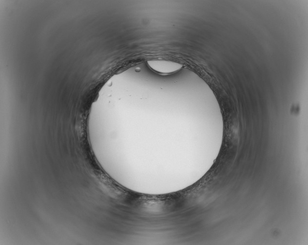 X0000091300658200709071054