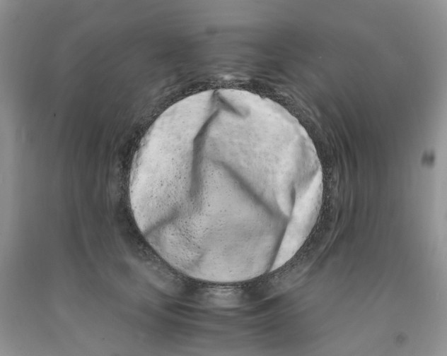 X0000091300659200709071054