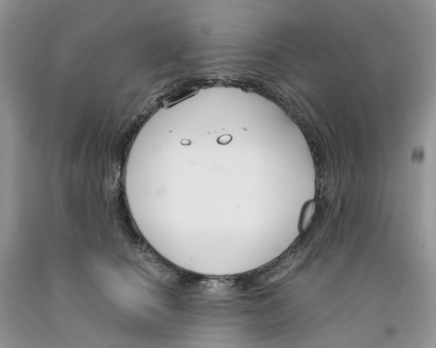 X0000091300660200709071054