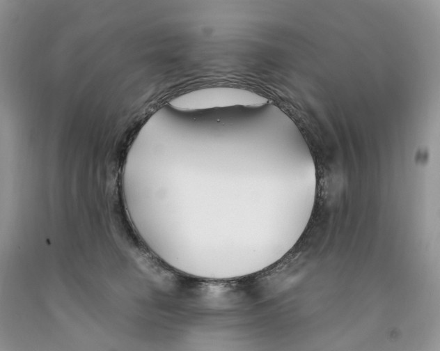 X0000091300662200709071054