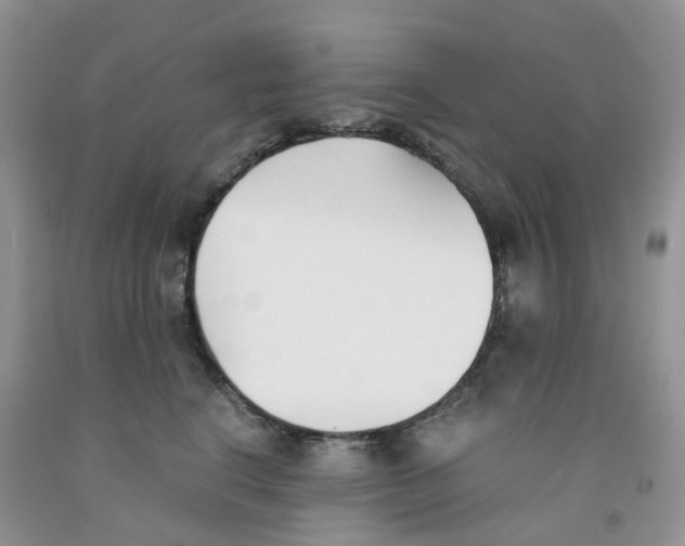 X0000091300664200709071054