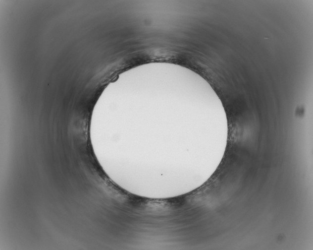 X0000091300666200709071054