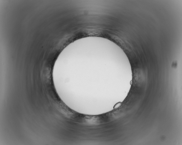 X0000091300667200709071054