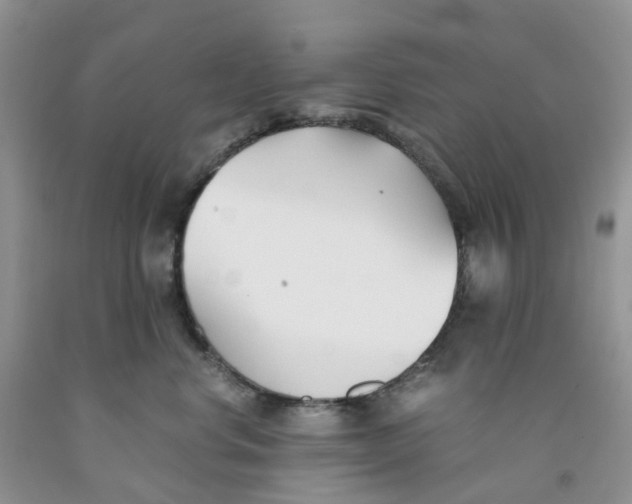 X0000091300668200709071054