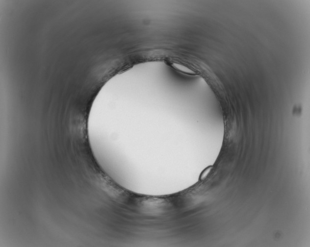 X0000091300669200709071054