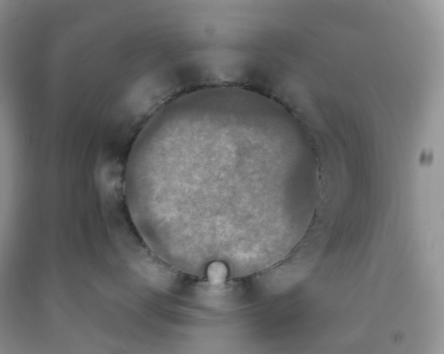 X0000091300672200709071054