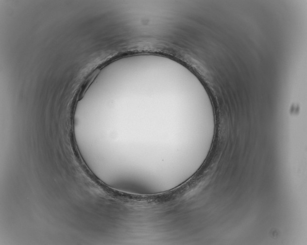 X0000091300673200709071053