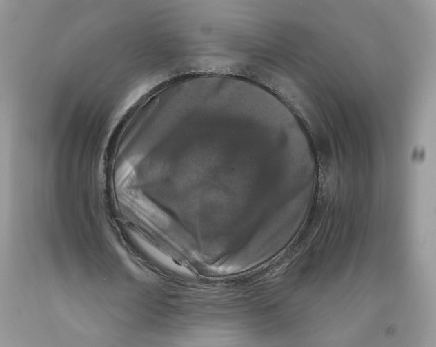 X0000091300674200709071053