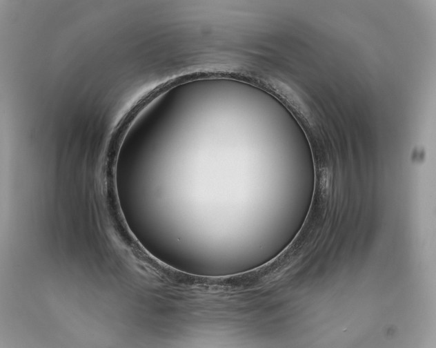 X0000091300676200709071053