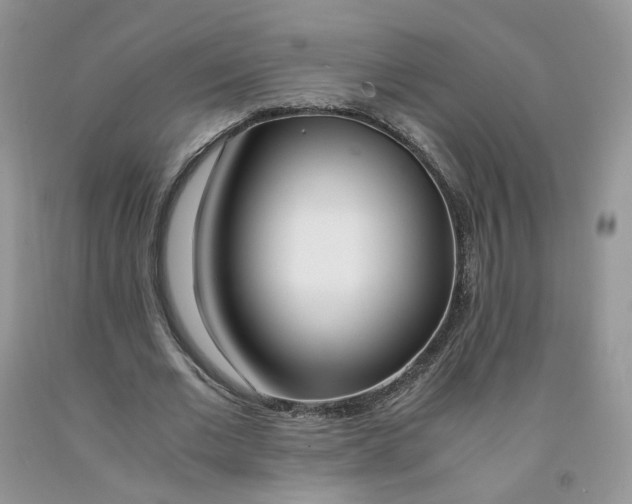 X0000091300677200709071053