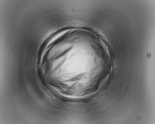 X0000091300679200709071053