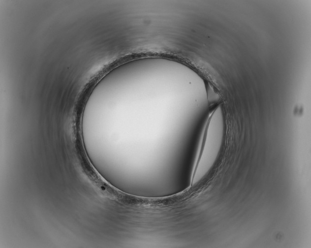 X0000091300680200709071053