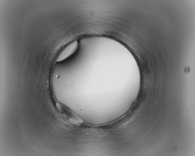 X0000091300681200709071053