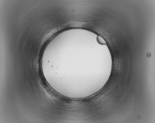 X0000091300682200709071053