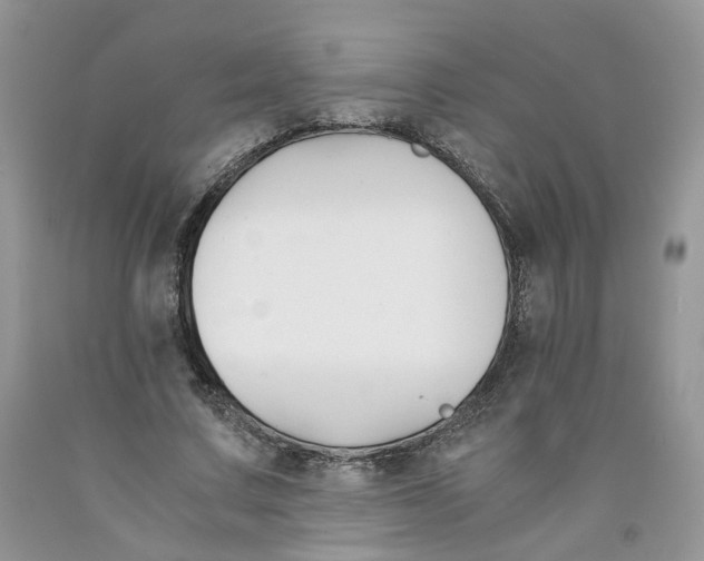 X0000091300683200709071053