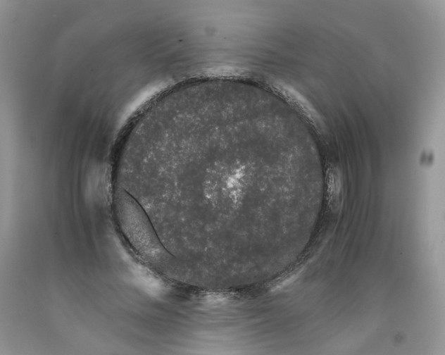 X0000091300684200709071053