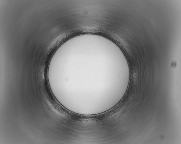 X0000091300686200709071053