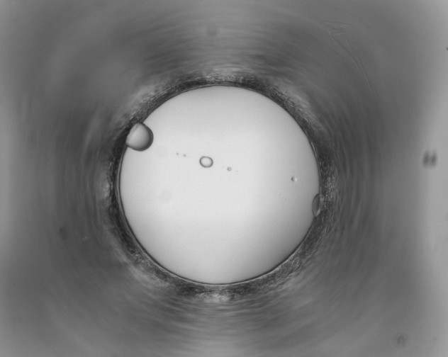 X0000091300687200709071053