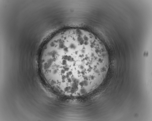 X0000091300688200709071053