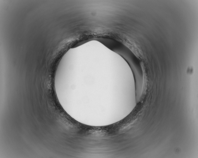 X0000091300689200709071053