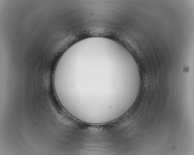 X0000091300690200709071053