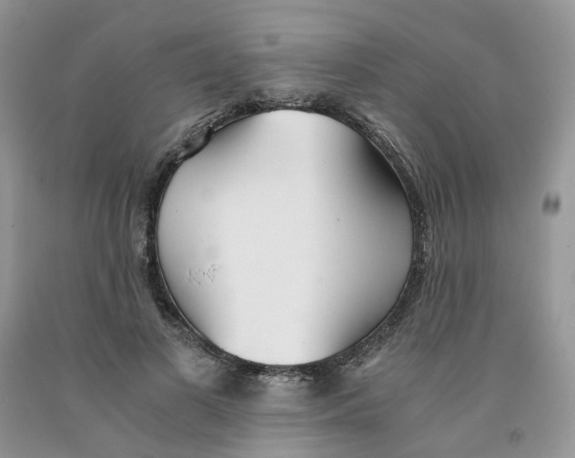 X0000091300693200709071053