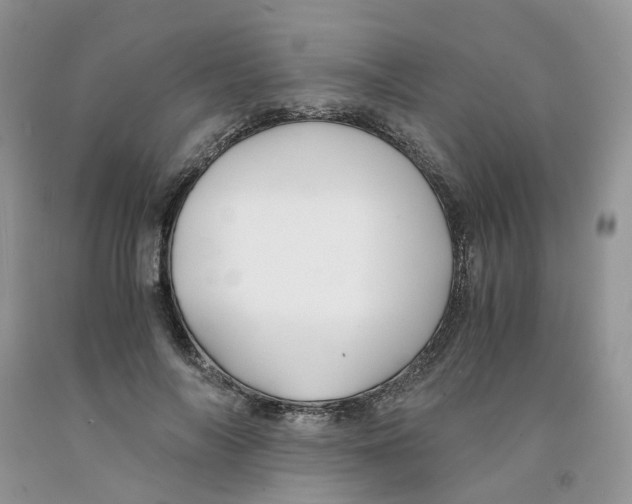 X0000091300694200709071053