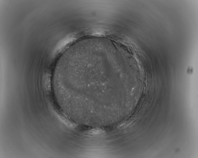 X0000091300696200709071053