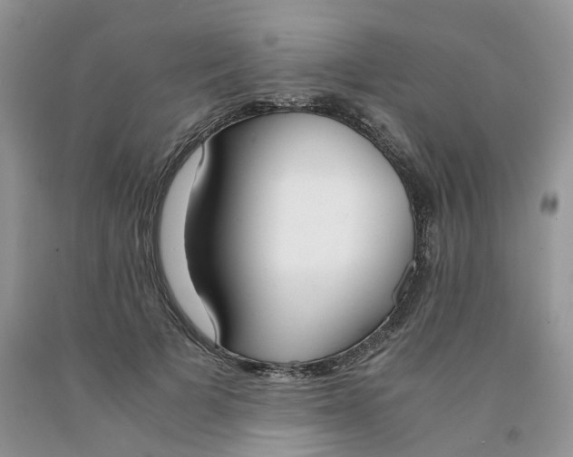 X0000091300697200709071053