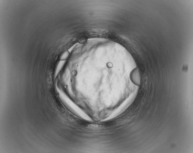 X0000091300699200709071053