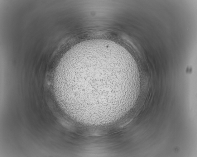 X0000091300701200709071053