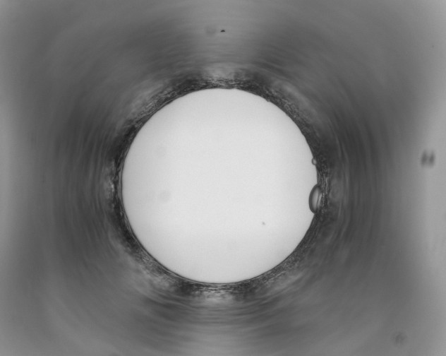 X0000091300702200709071053