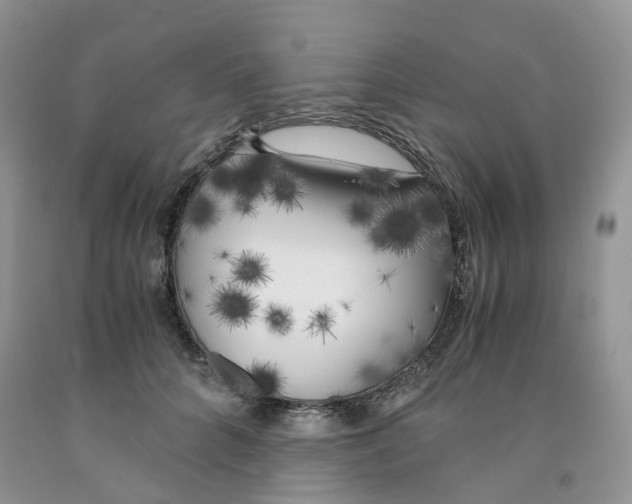 X0000091300704200709071053