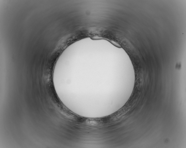 X0000091300706200709071053