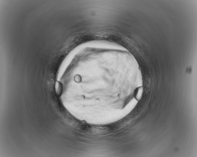 X0000091300707200709071053