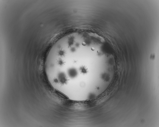 X0000091300708200709071053