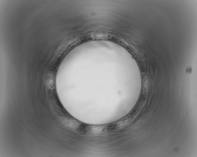 X0000091300709200709071053