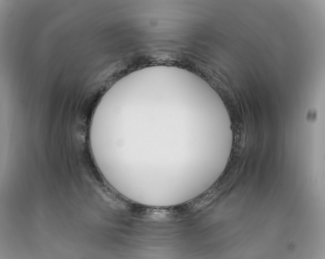 X0000091300710200709071053